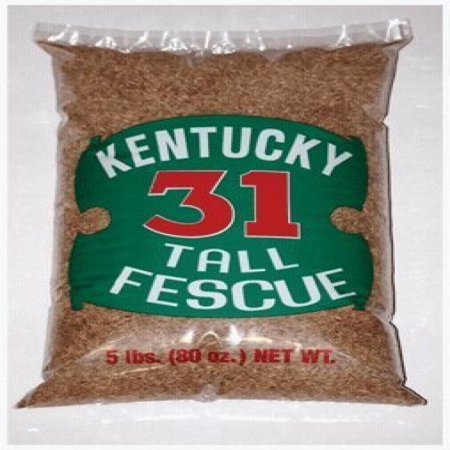 Mountainview Seeds Grass Seed Kentucky 31 5Lb Bag